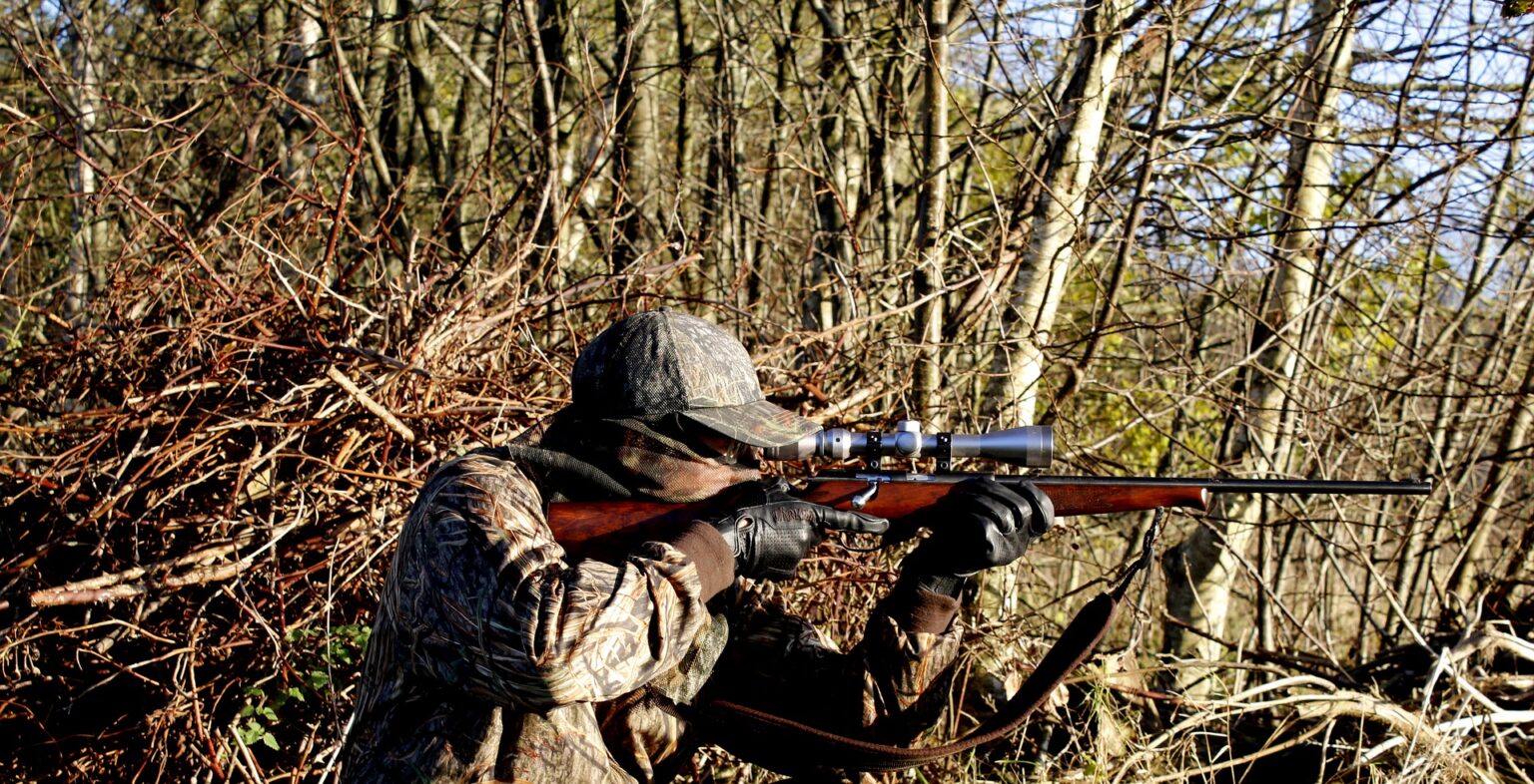 2022 hunting regulations released by province My Bancroft Now