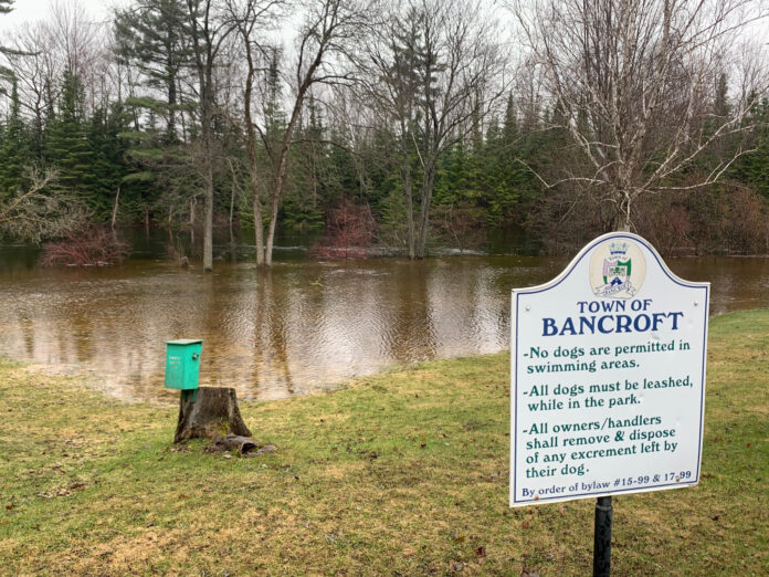 Flooding closing parks in Bancroft, causing more concerns further north My Bancroft Now